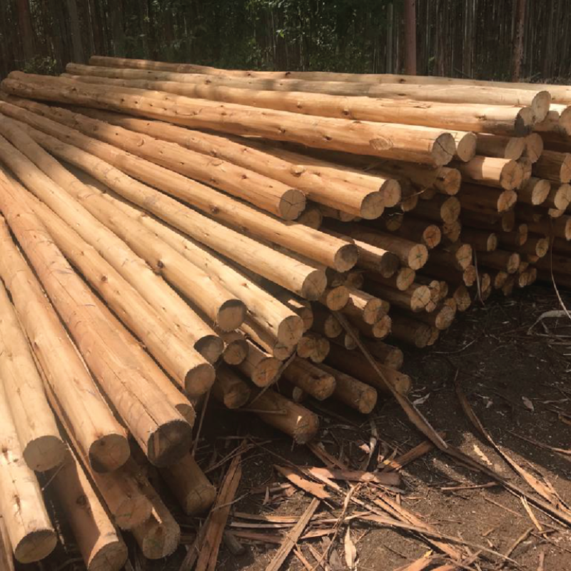 HWJ Timbers Project