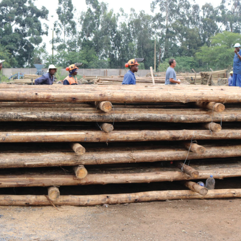 HWJ Timbers Project