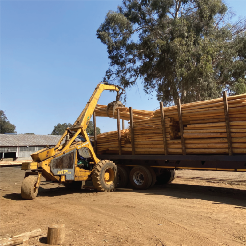 HWJ Timbers Project
