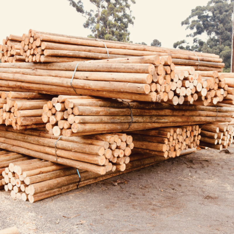 HWJ Timbers Project