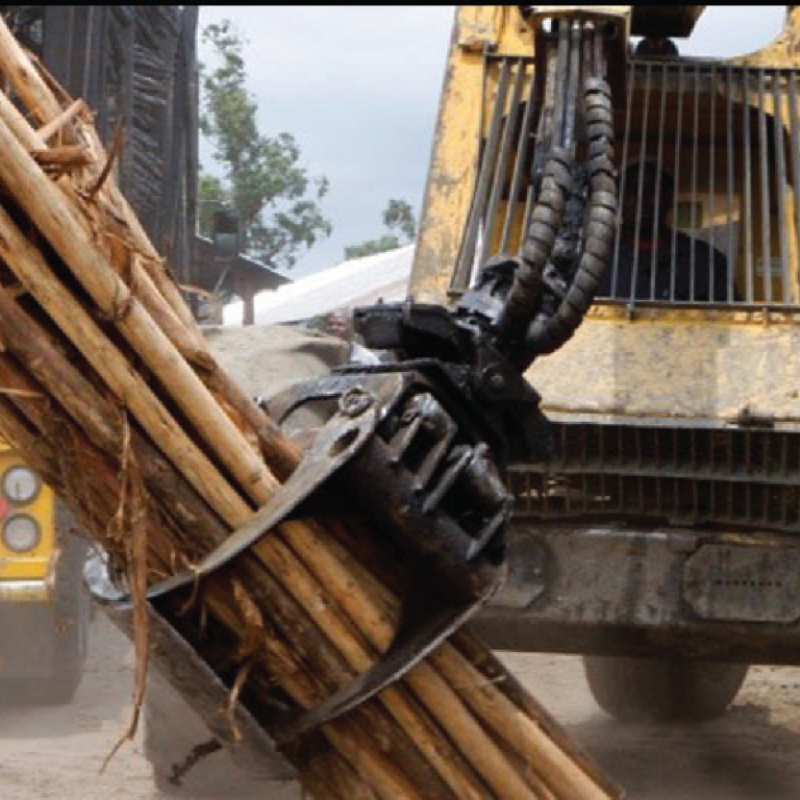 HWJ Timbers Project